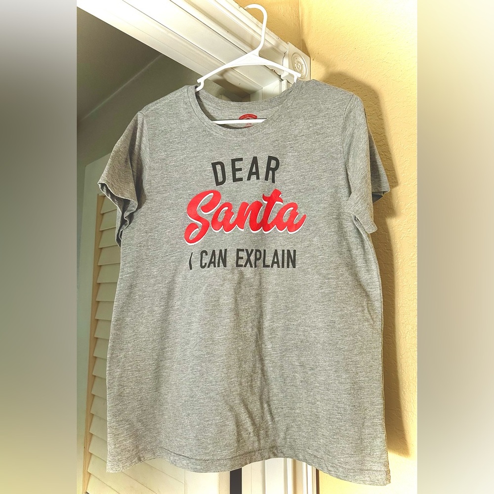 “Dear Santa I Can Explain” Gray T-Shirt
